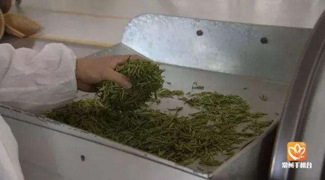 富硒清明茶微信号（富硒清明茶价格）-硒宝网