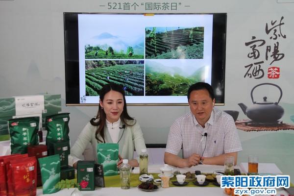 紫阳富硒茶的荣誉(紫阳富硒茶—论文范例)-硒宝网