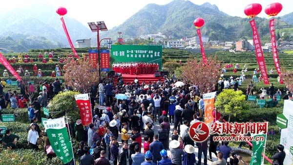 紫阳富硒茶上央视(紫阳富硒茶厂)-硒宝网