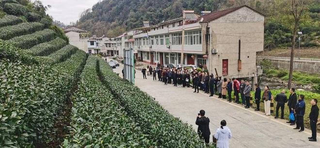 富硒茶有什么标志（富硒茶叶标准）-硒宝网