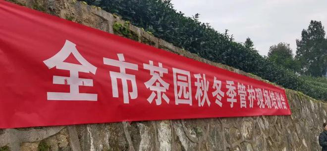 富硒茶有什么标志（富硒茶叶标准）-硒宝网