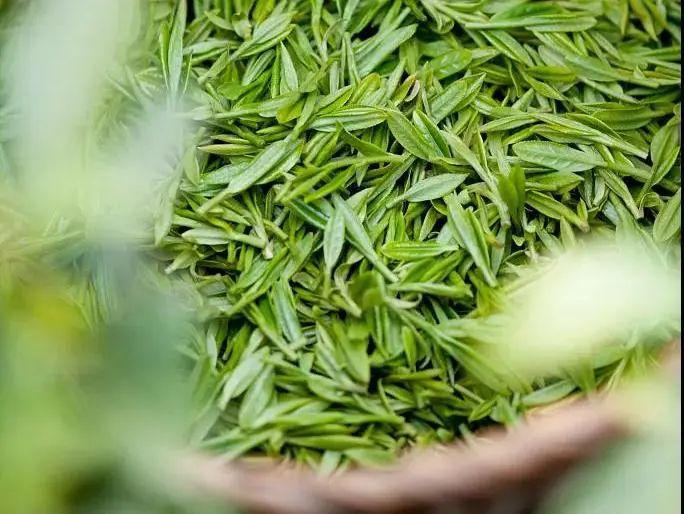 彭州凤阳富锌硒茶（富硒茶园）-硒宝网