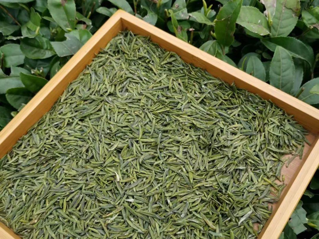 彭州凤阳富锌硒茶（富硒茶园）-硒宝网