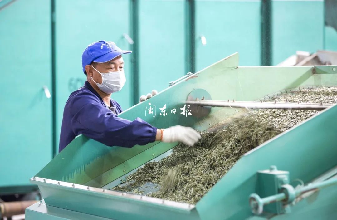 凤冈富硒茶的价格（凤冈富锌富硒茶价格表）-硒宝网