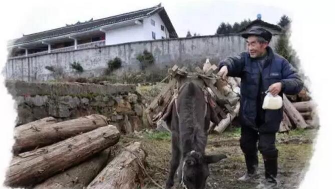 恩施富硒是什么茶(恩施富硒茶是什么意思)-硒宝网