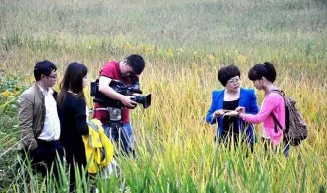 恩施富硒是什么茶(恩施富硒茶是什么意思)-硒宝网