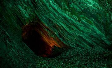 恩施富硒是什么茶(恩施富硒茶是什么意思)-硒宝网