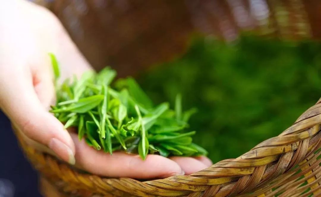 肝癌喝富硒茶好吗(喝茶肝癌富硒好吗能吃吗)-硒宝网