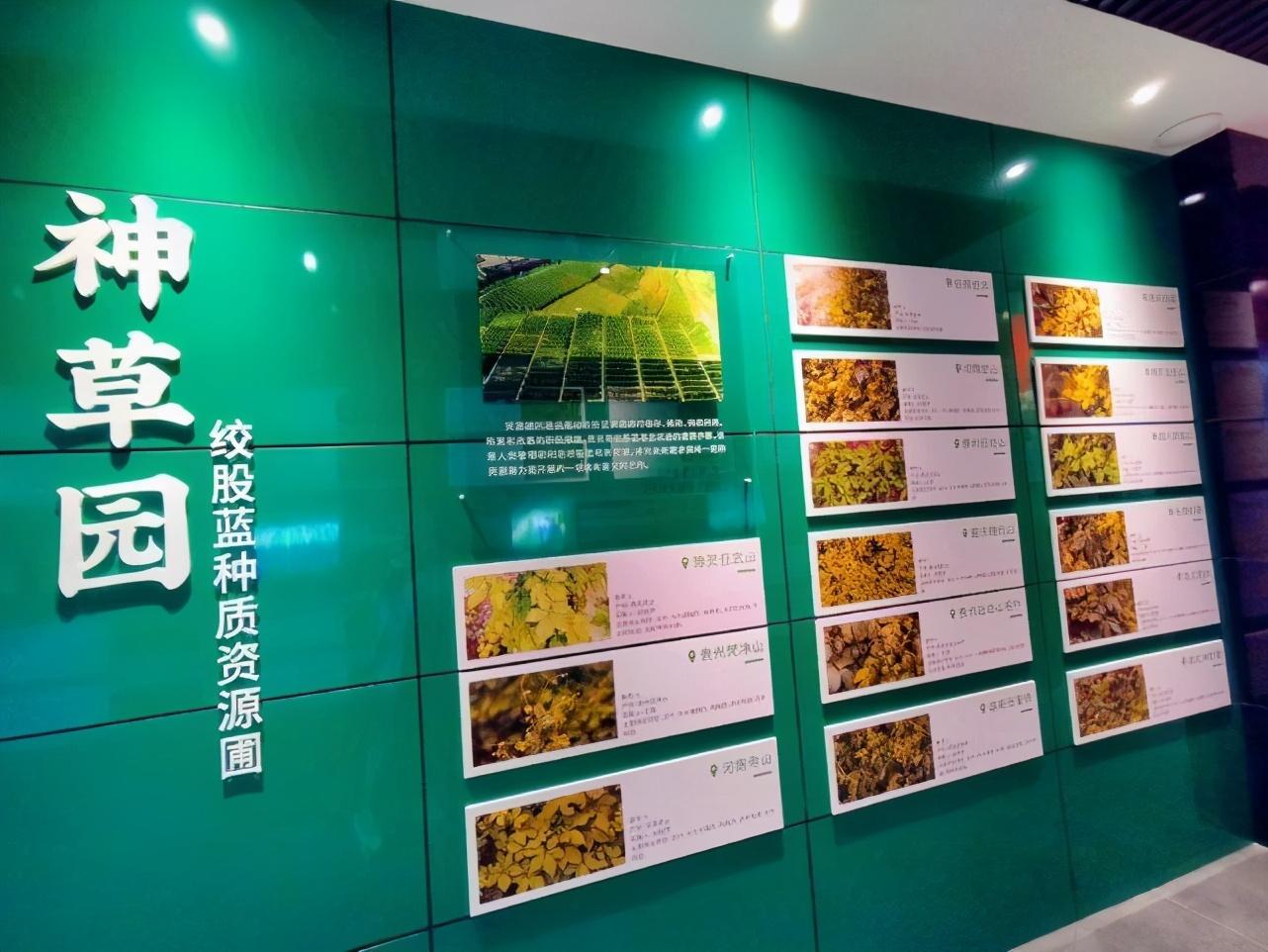 普洱富硒茶体验馆（普洱富硒茶的价格）-硒宝网