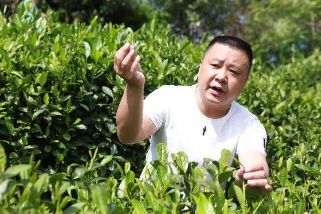 普洱富硒茶体验馆（普洱富硒茶的价格）-硒宝网