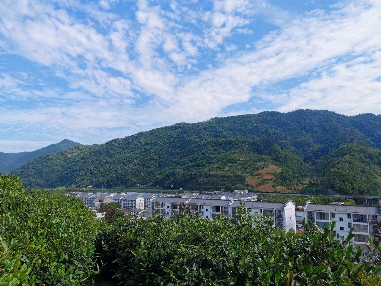 普洱富硒茶体验馆（普洱富硒茶的价格）-硒宝网