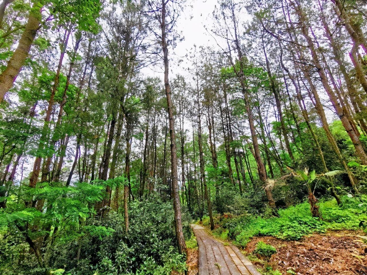 普洱富硒茶体验馆（普洱富硒茶的价格）-硒宝网