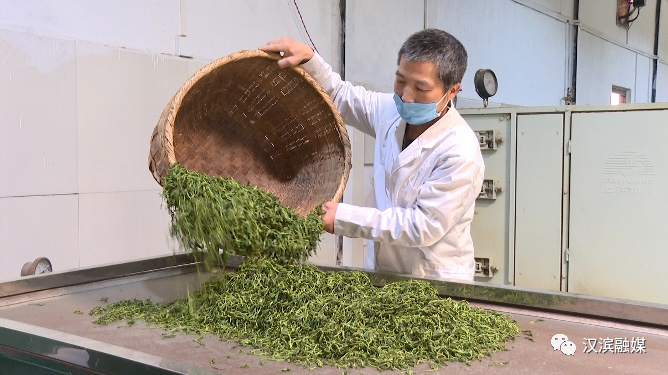 普洱富硒茶体验馆（富硒普洱茶好处）-硒宝网