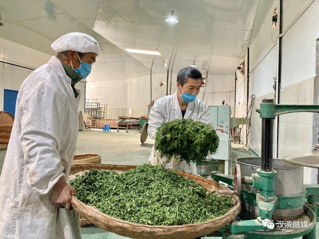 普洱富硒茶体验馆（富硒普洱茶好处）-硒宝网