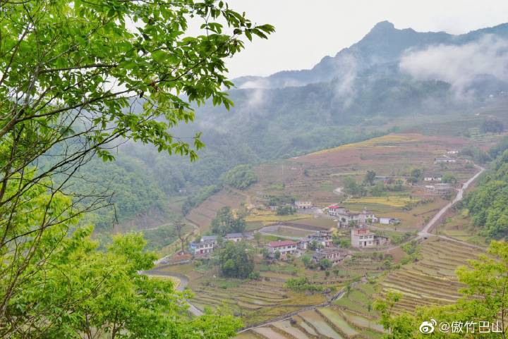 南宫山富硒茶春晓（南宫山茶叶价格）-硒宝网