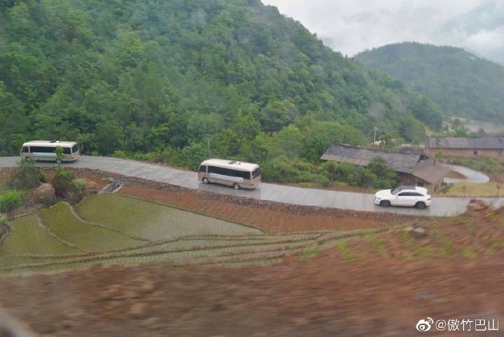 南宫山富硒茶春晓（南宫山茶叶价格）-硒宝网