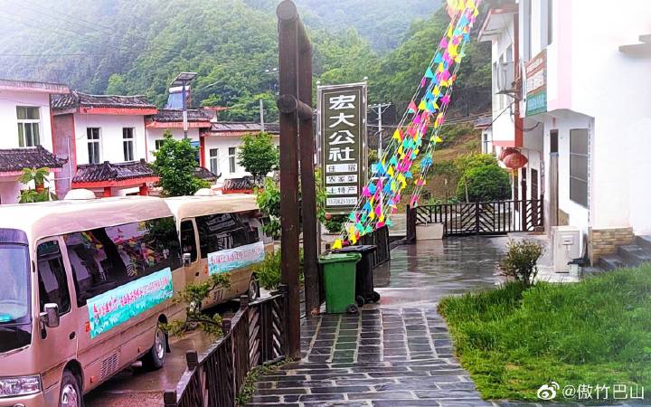 南宫山富硒茶春晓（南宫山茶叶价格）-硒宝网