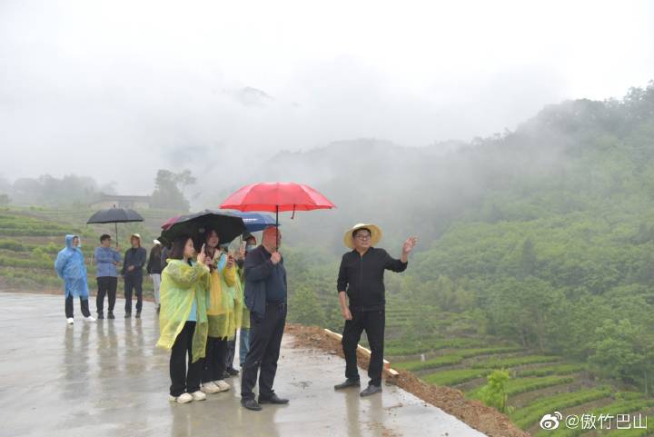 南宫山富硒茶春晓（南宫山茶叶价格）-硒宝网