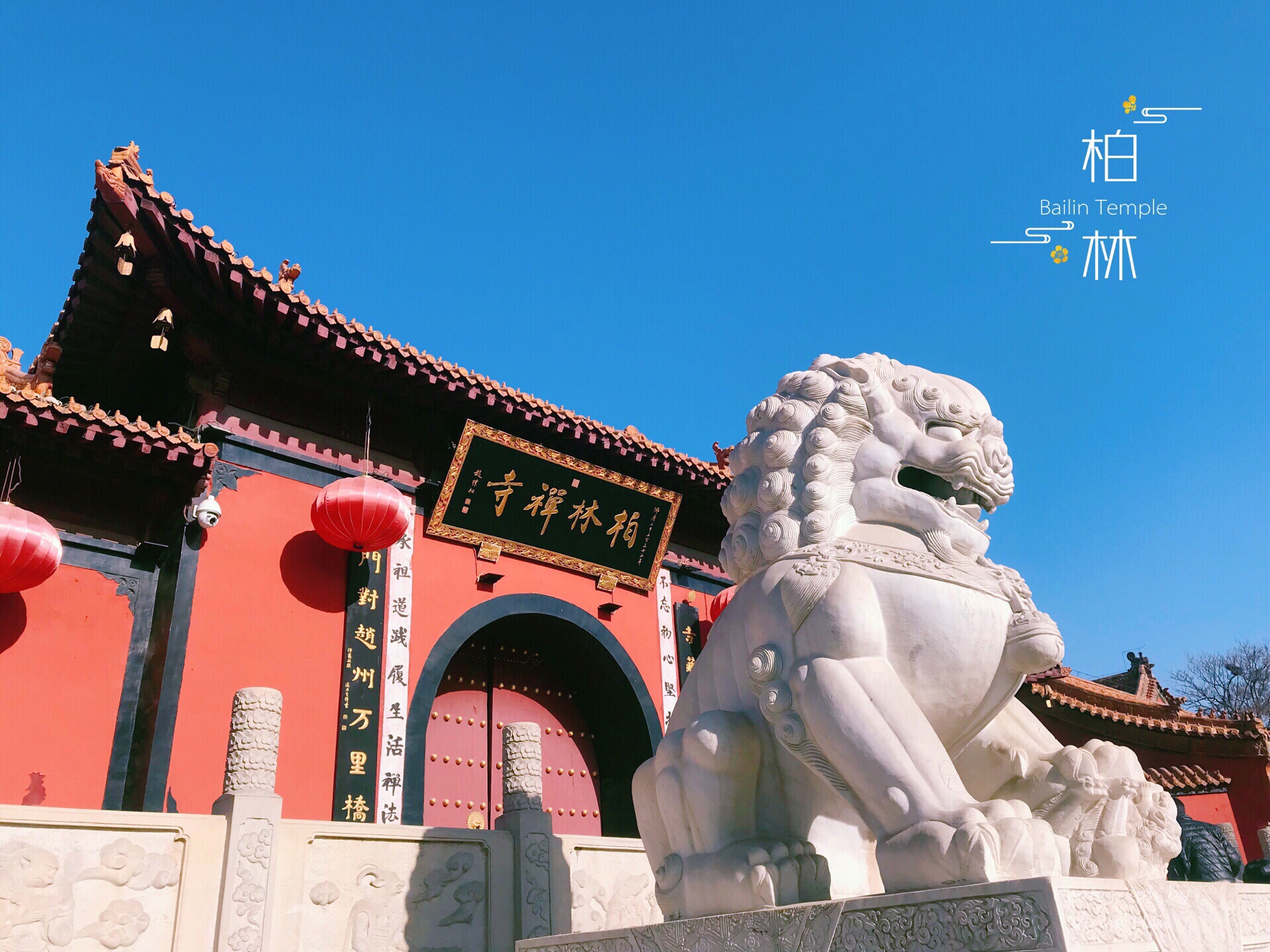 高山富硒茶的传说(高山富硒茶属于什么茶)-硒宝网