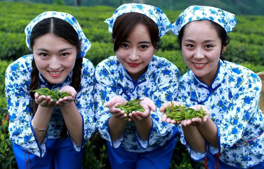 高山富硒茶的传说(高山富硒茶属于什么茶)-硒宝网