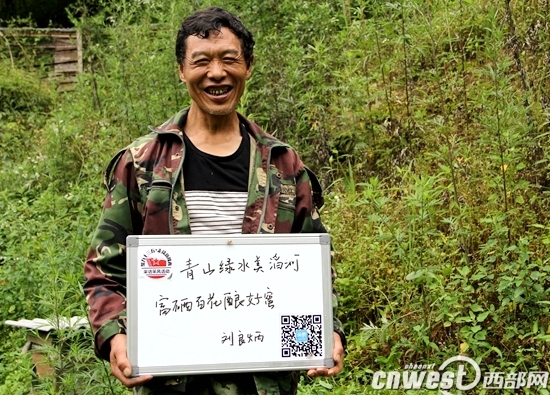 南宫山富硒茶春晓(南宫山富硒茶多少钱)-硒宝网