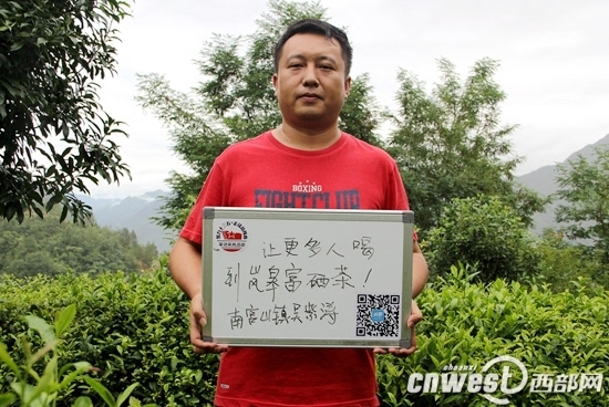 南宫山富硒茶春晓(南宫山富硒茶多少钱)-硒宝网