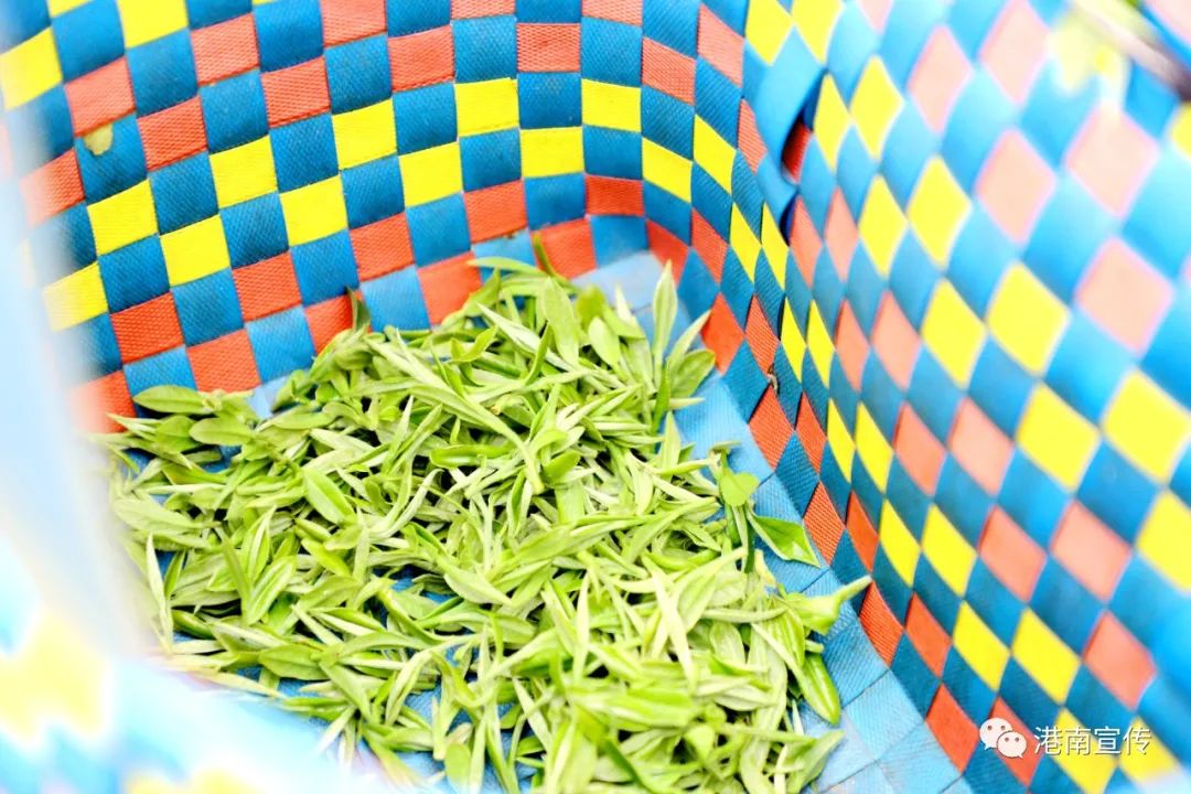 富硒茶哪个品种好(茶品种富硒好不好)-硒宝网