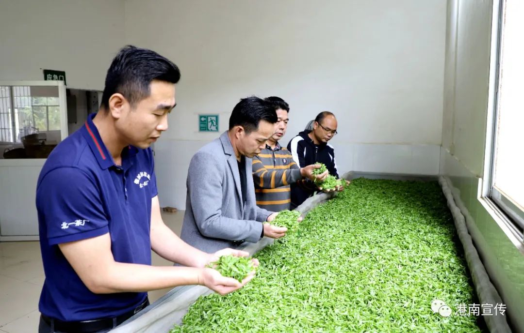 富硒茶哪个品种好(茶品种富硒好不好)-硒宝网