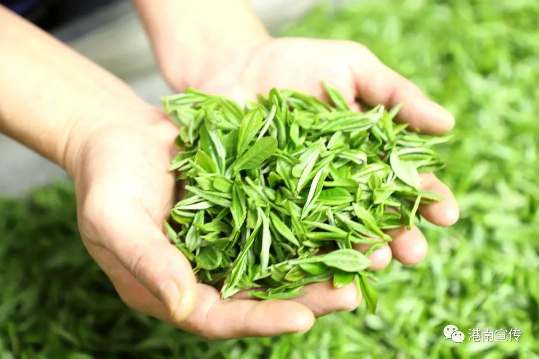 富硒茶哪个品种好(茶品种富硒好不好)-硒宝网