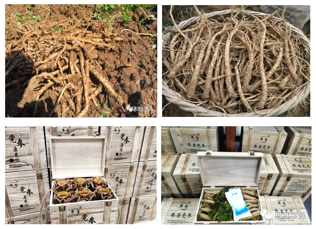 恩施富硒茶哪里卖(恩施富硒茶厂)-硒宝网