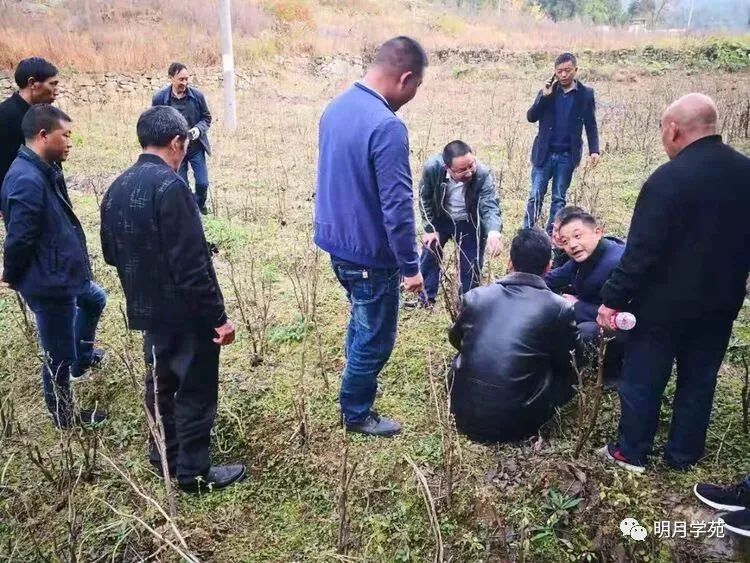 恩施富硒茶哪里卖(恩施富硒茶厂)-硒宝网