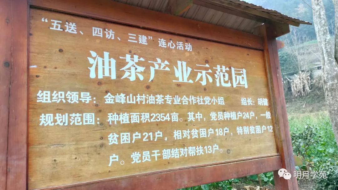 恩施富硒茶哪里卖(恩施富硒茶厂)-硒宝网