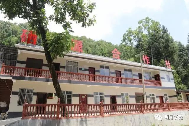 恩施富硒茶哪里卖(恩施富硒茶厂)-硒宝网