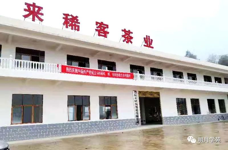 恩施富硒茶哪里卖(恩施富硒茶厂)-硒宝网