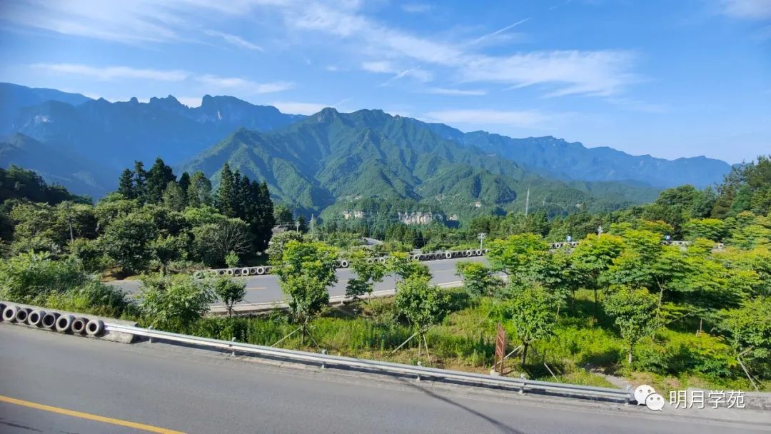 恩施富硒茶哪里卖(恩施富硒茶厂)-硒宝网