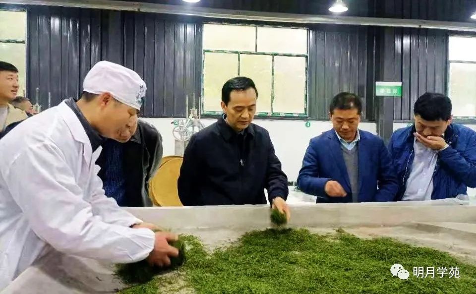 恩施富硒茶哪里卖(恩施富硒茶厂)-硒宝网