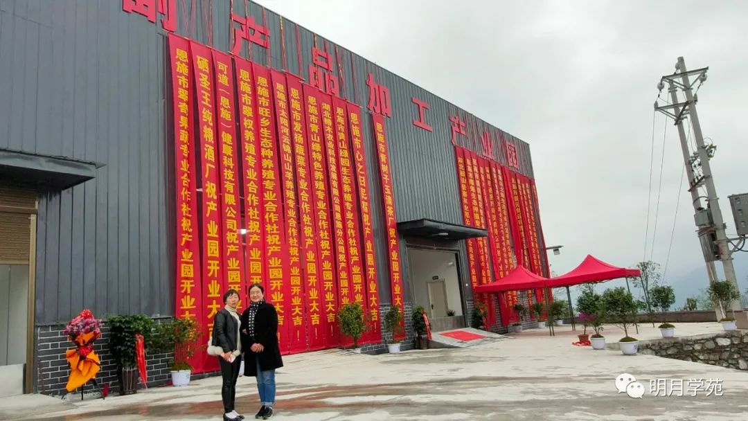 恩施富硒茶哪里卖(恩施富硒茶厂)-硒宝网