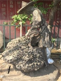 富硒有机粗茶价格(富硒有机粗茶价格)-硒宝网