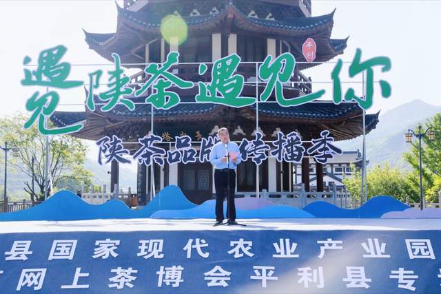 富硒堂福鼎银峰茶（诏安富硒茶价位）-硒宝网