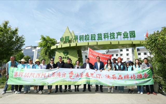 富硒堂福鼎银峰茶（诏安富硒茶价位）-硒宝网