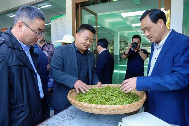 富硒堂福鼎银峰茶（诏安富硒茶价位）-硒宝网