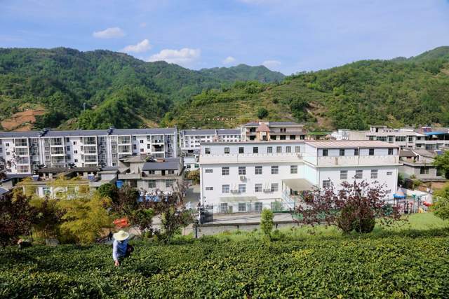 富硒堂福鼎银峰茶（诏安富硒茶价位）-硒宝网