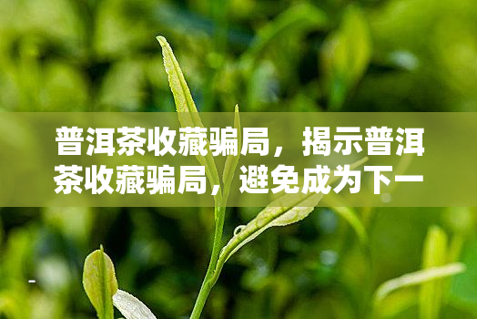 富硒茶是不是骗局(富硒茶口感)-硒宝网