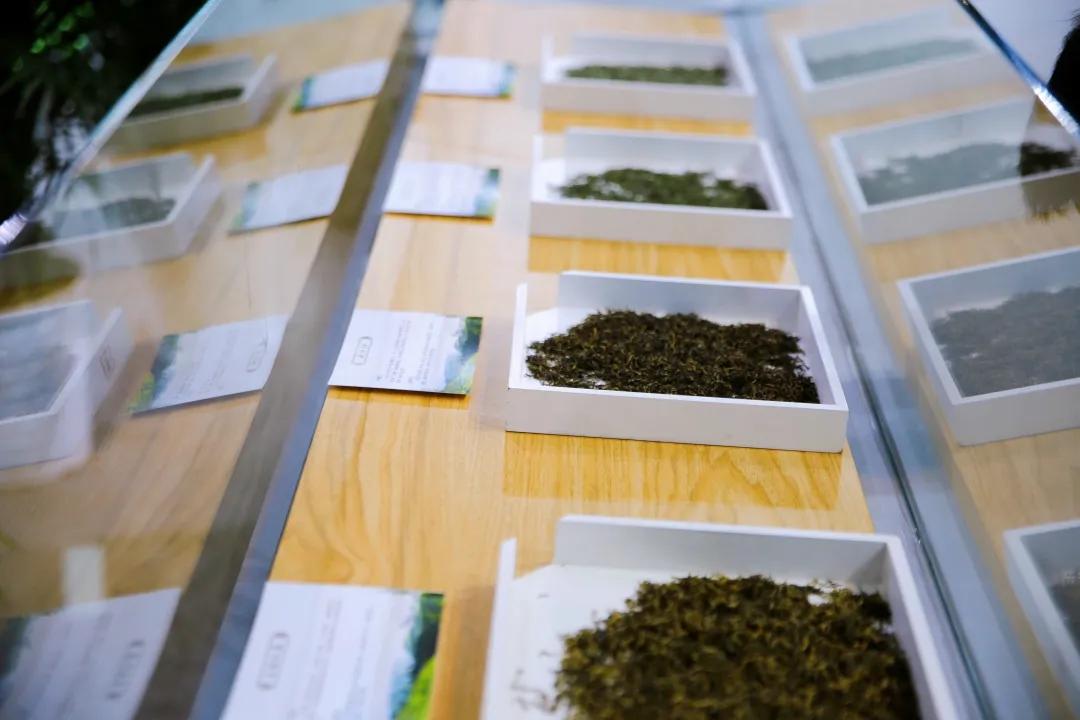 恩施富硒茶宣传图（湖北恩施茶文化简介）-硒宝网