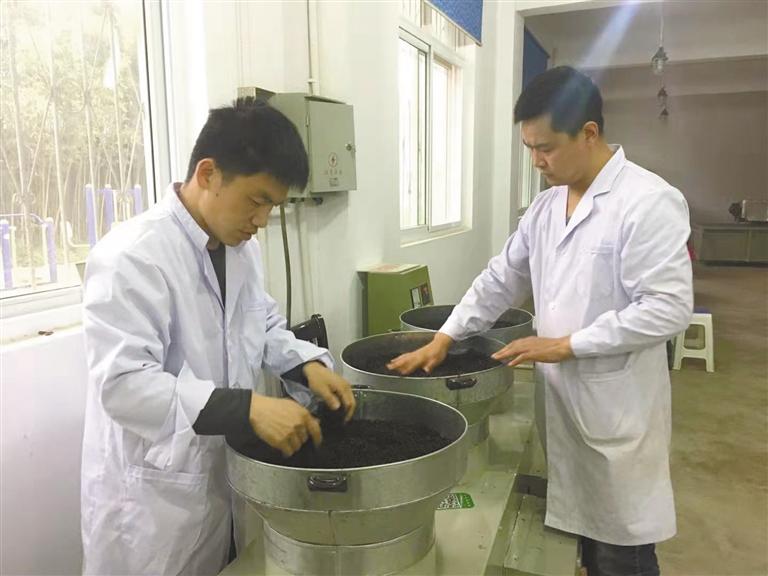 安康富硒茶的专利（安康富硒茶发展情况）-硒宝网