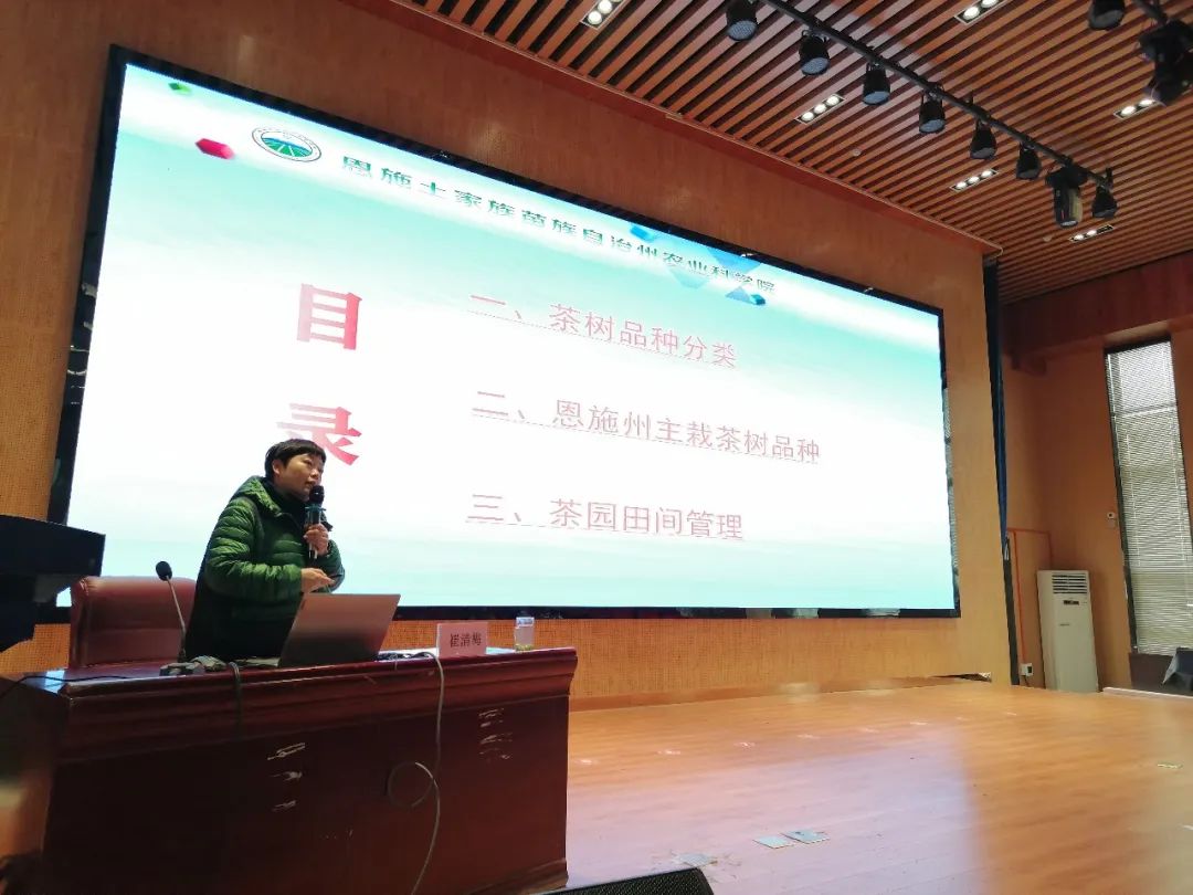 茶博士恩施富硒茶(恩施富硒茶厂)-硒宝网