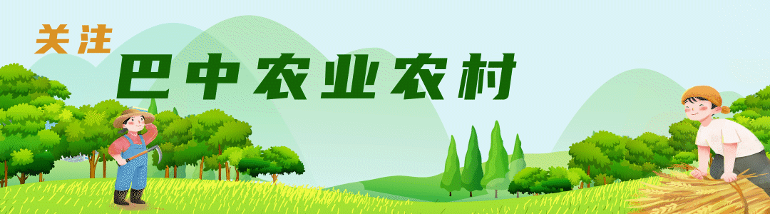 富硒茶的品质特点(茶品质特点富硒的原因)-硒宝网