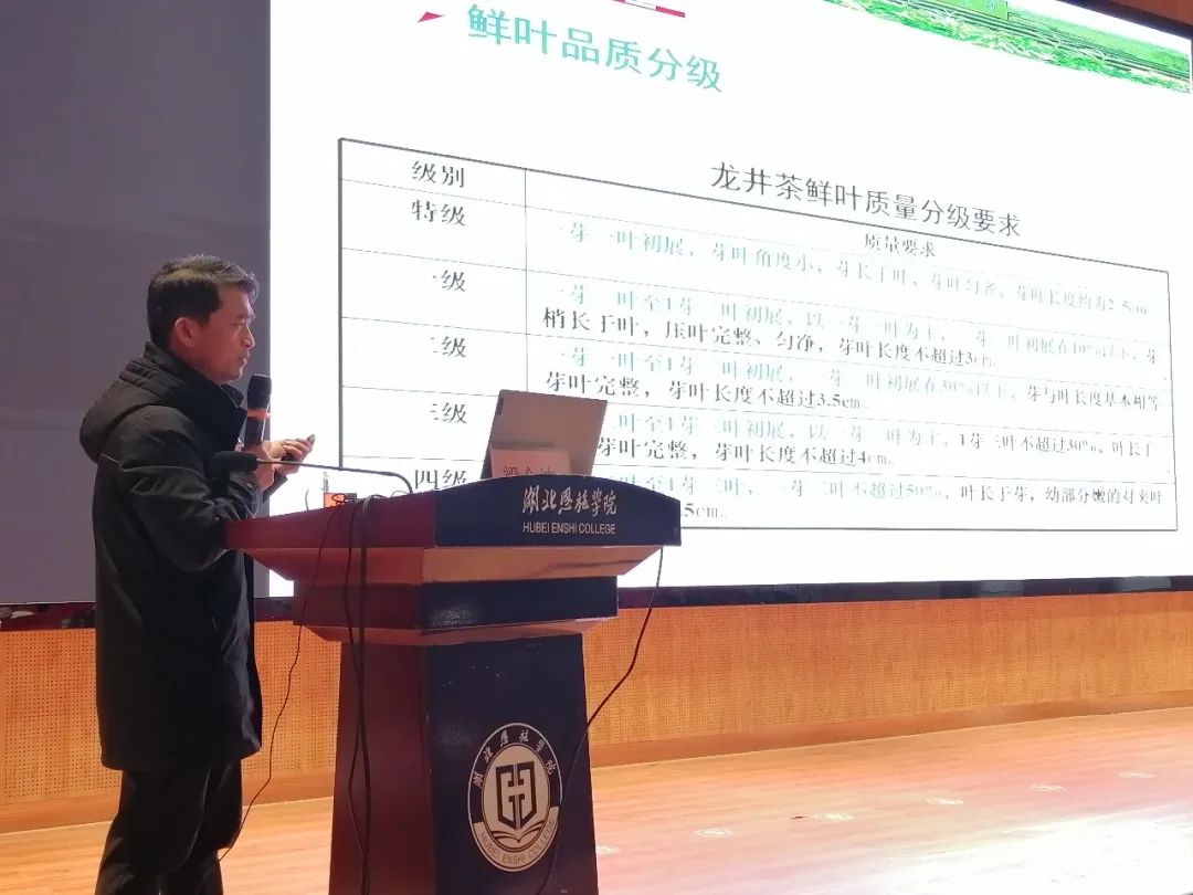 茶博士恩施富硒茶(恩施富硒茶厂)-硒宝网