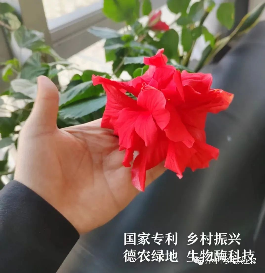 好喝的富硒茶企业（富硒的茶）-硒宝网