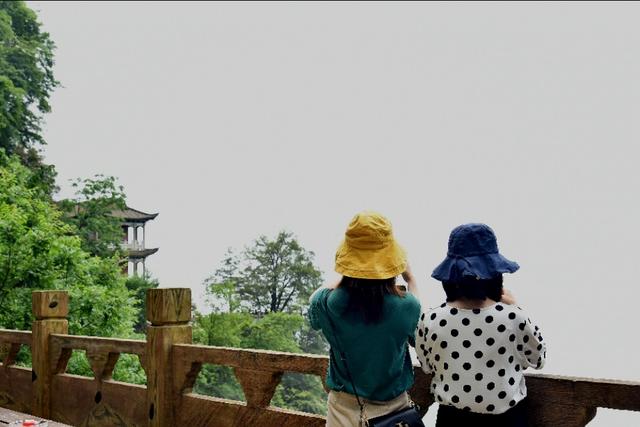 南宫山富硒茶介绍（南宫山富硒茶多少钱）-硒宝网